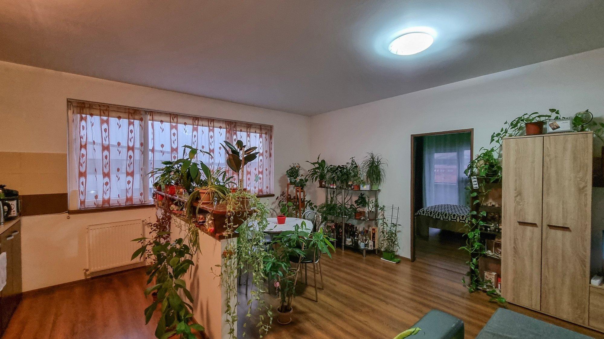 Apartament - Gruia
